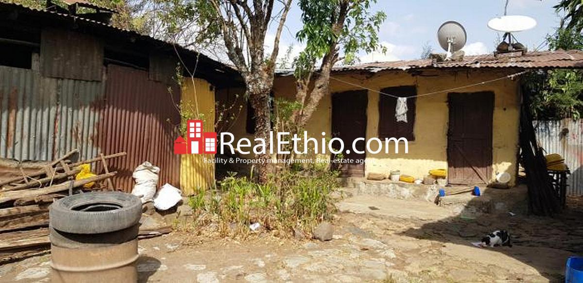 Shiromeda Silase, old house for sale, 820 meter square, Addis Ababa
