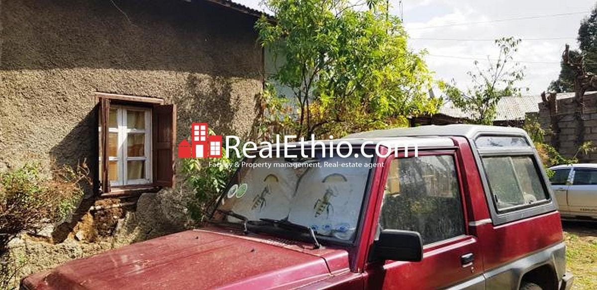 Shiromeda Silase, old house for sale, 820 meter square, Addis Ababa