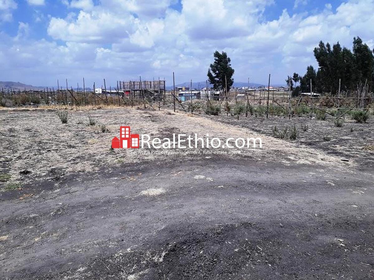 Plot of Land for sale Alemgena, land for sale, Oromia, Ethiopia