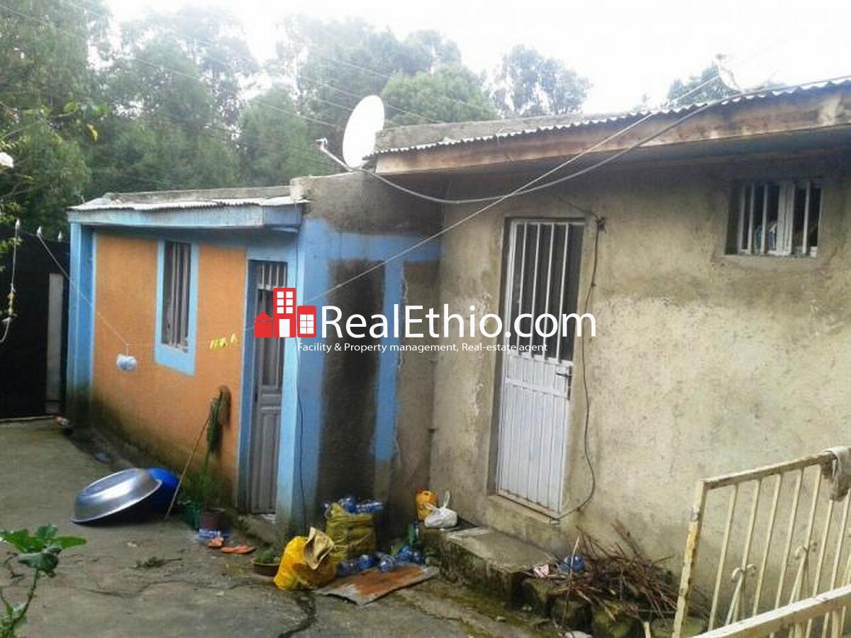 Burayu, house for sale, 5 bed rooms, Ethiopia. Real Ethio