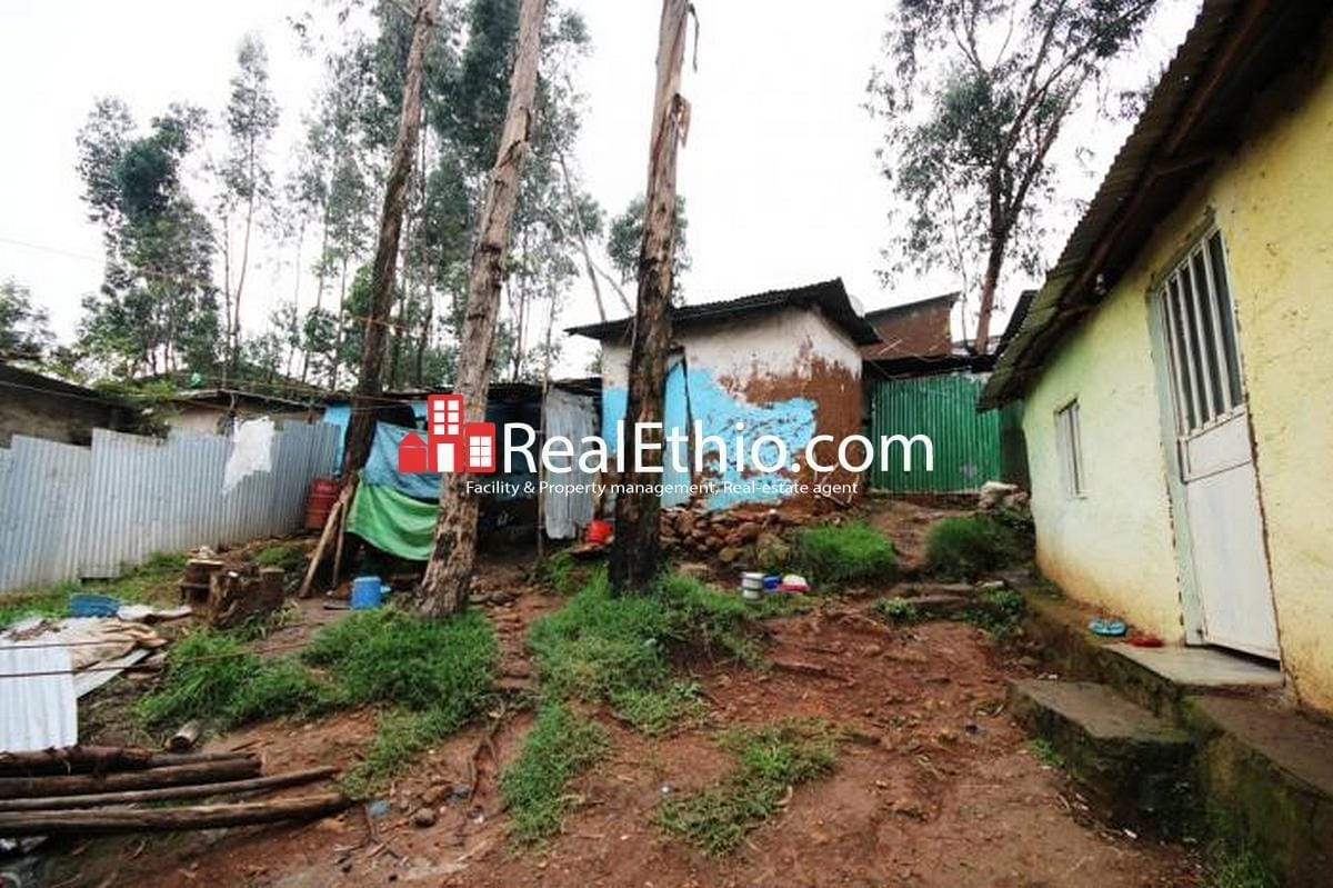 Old villa house for sale at CMC Meri, 302 meter square, 1 bed room