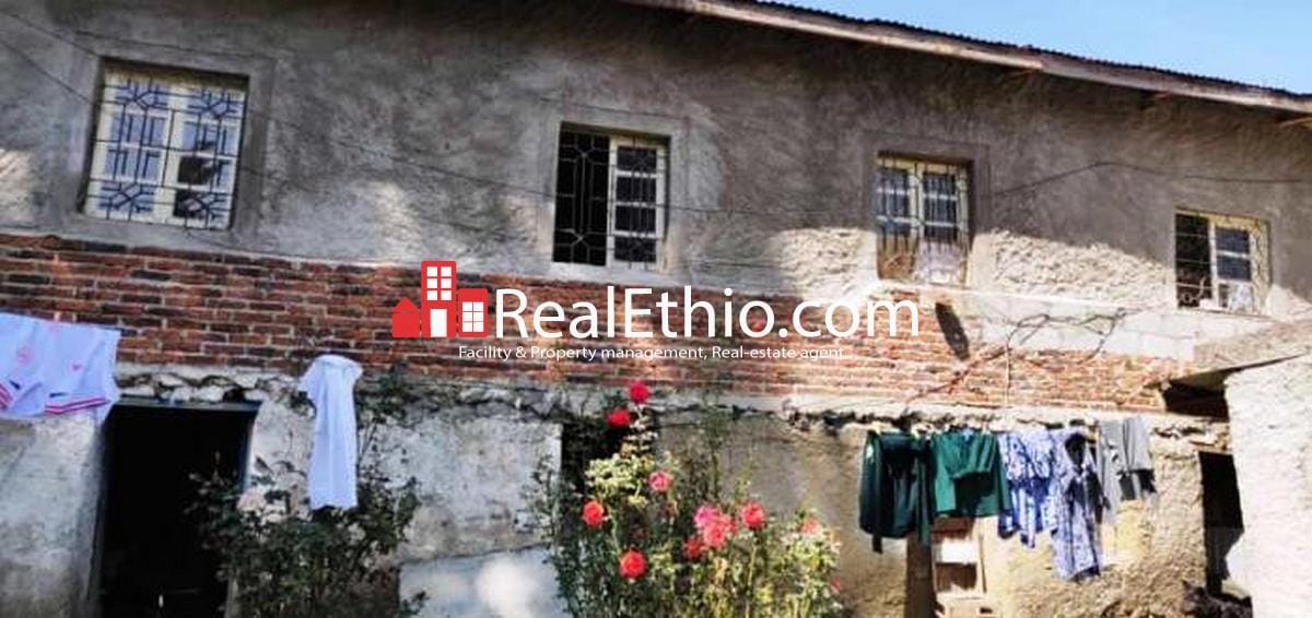 Semen Mazegaja, three bedrooms, house for rent, Addis Ababa. Real Ethio