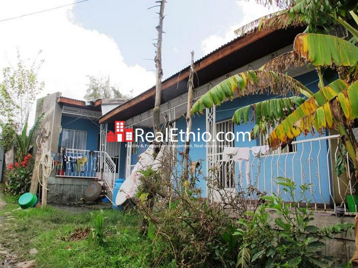 Seven bed room three houses on 825 meter square plot of land for sale at Kotebe, Addis Ababa
