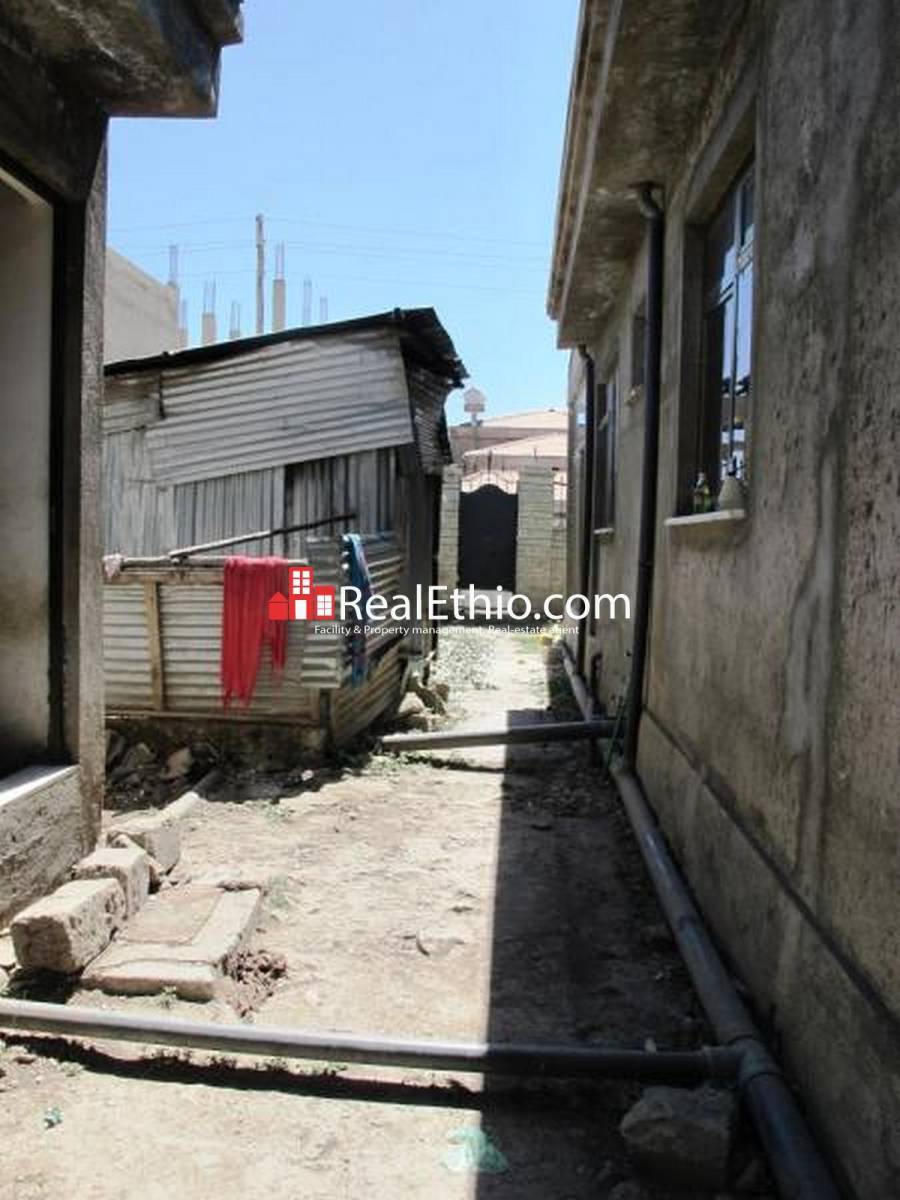 House for sale Three bed room house on 500 meter square plot of land