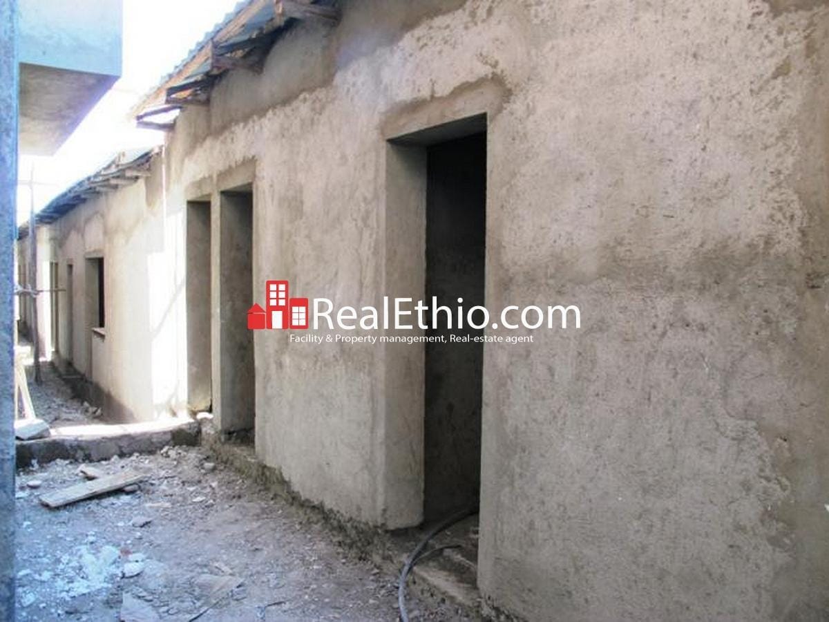 House for sale Three bed room house on 250 meter square plot of land