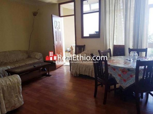 Lafto, furnished one bedroom apartment for rent, Addis Ababa
