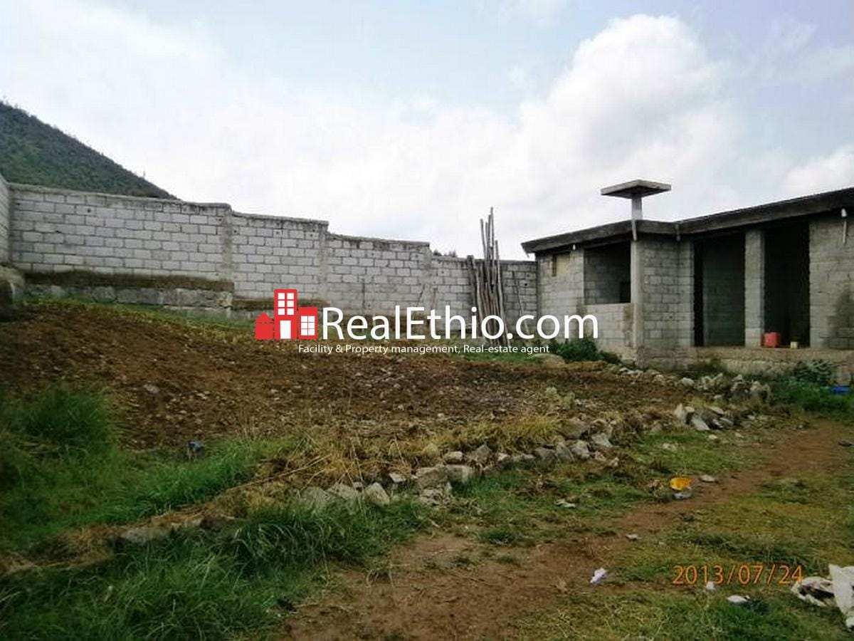 House for sale Service quarter on 400 meter square plot of land for sale at Akaki Gelan