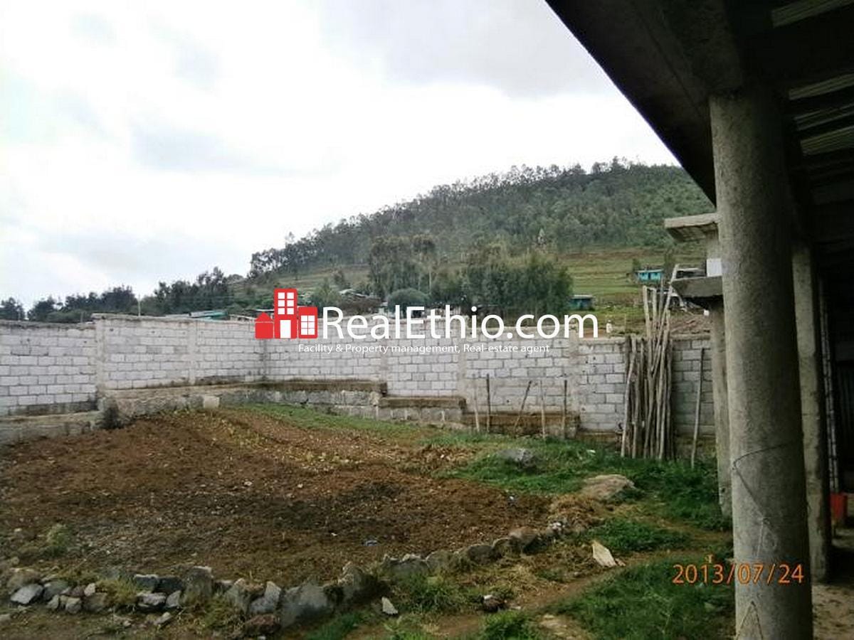 House for sale Service quarter on 400 meter square plot of land for sale at Akaki Gelan