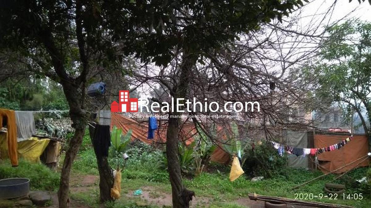 Asko main road, house for sale, Addis Ababa. Real Ethio
