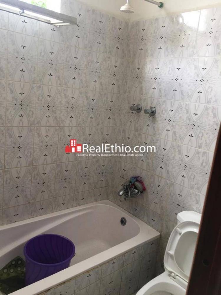 Goro, furnished 3 bedrooms house for rent, Addis Ababa. Real Ethio
