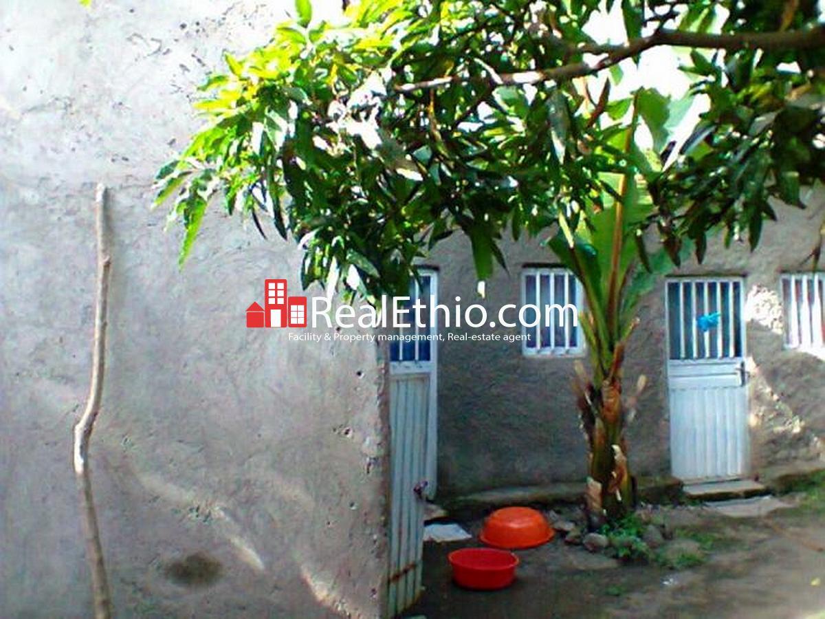 House for sale Debrezeit Bishoftu, 5 bed rooms ground plus 2 house on