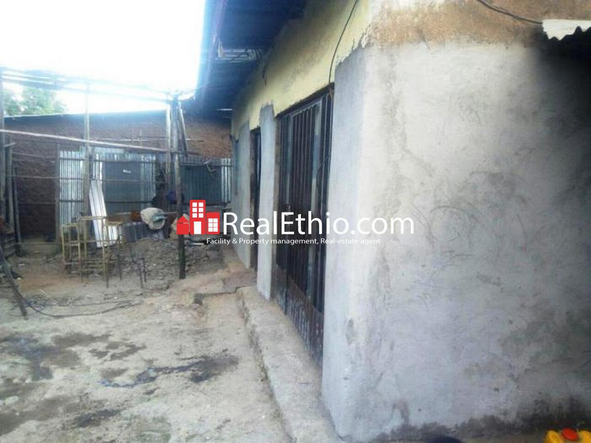Lebu Haile Garment, Sefera, Thre bedrooms old villa house for sale