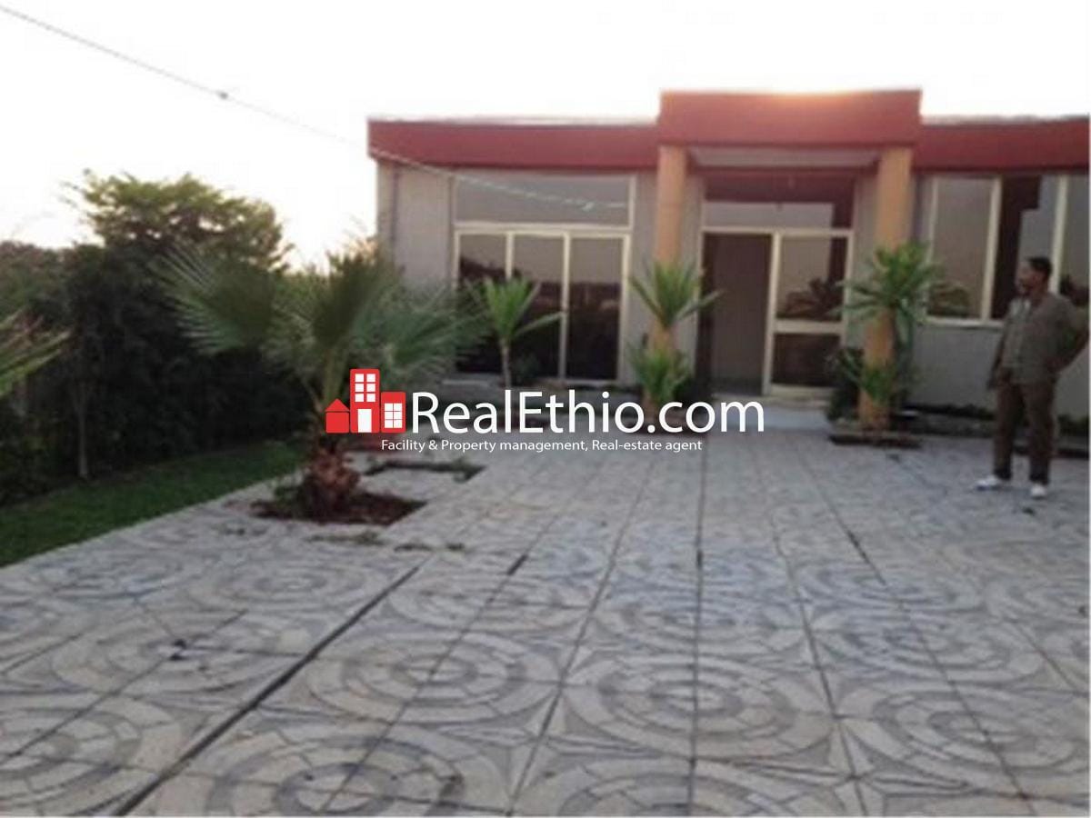 House for sale Two bed room new house on 280 meter square plot of land for sale around Gelan