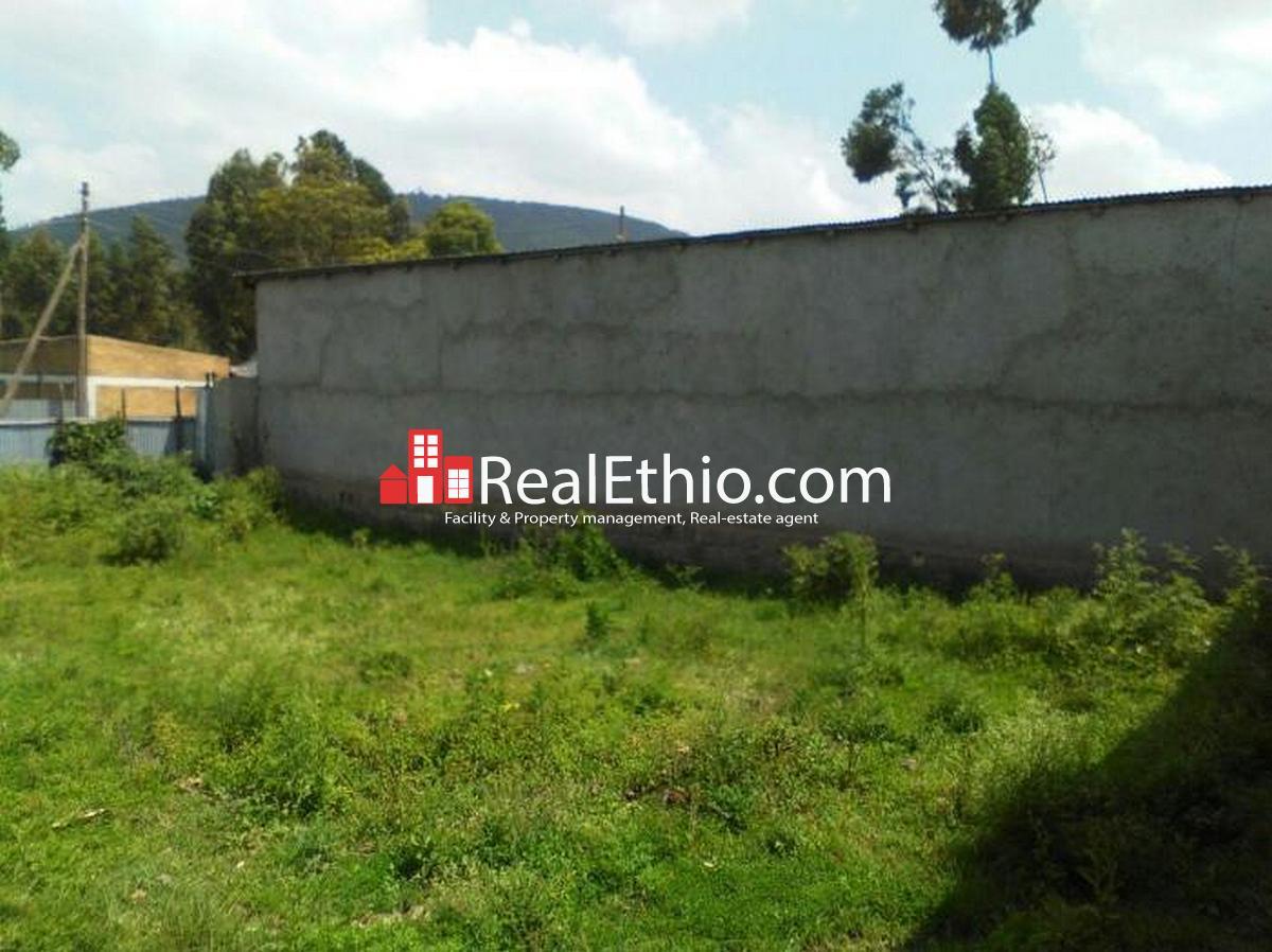 House for sale Sebeta, house for sale on 500 meter square plot of