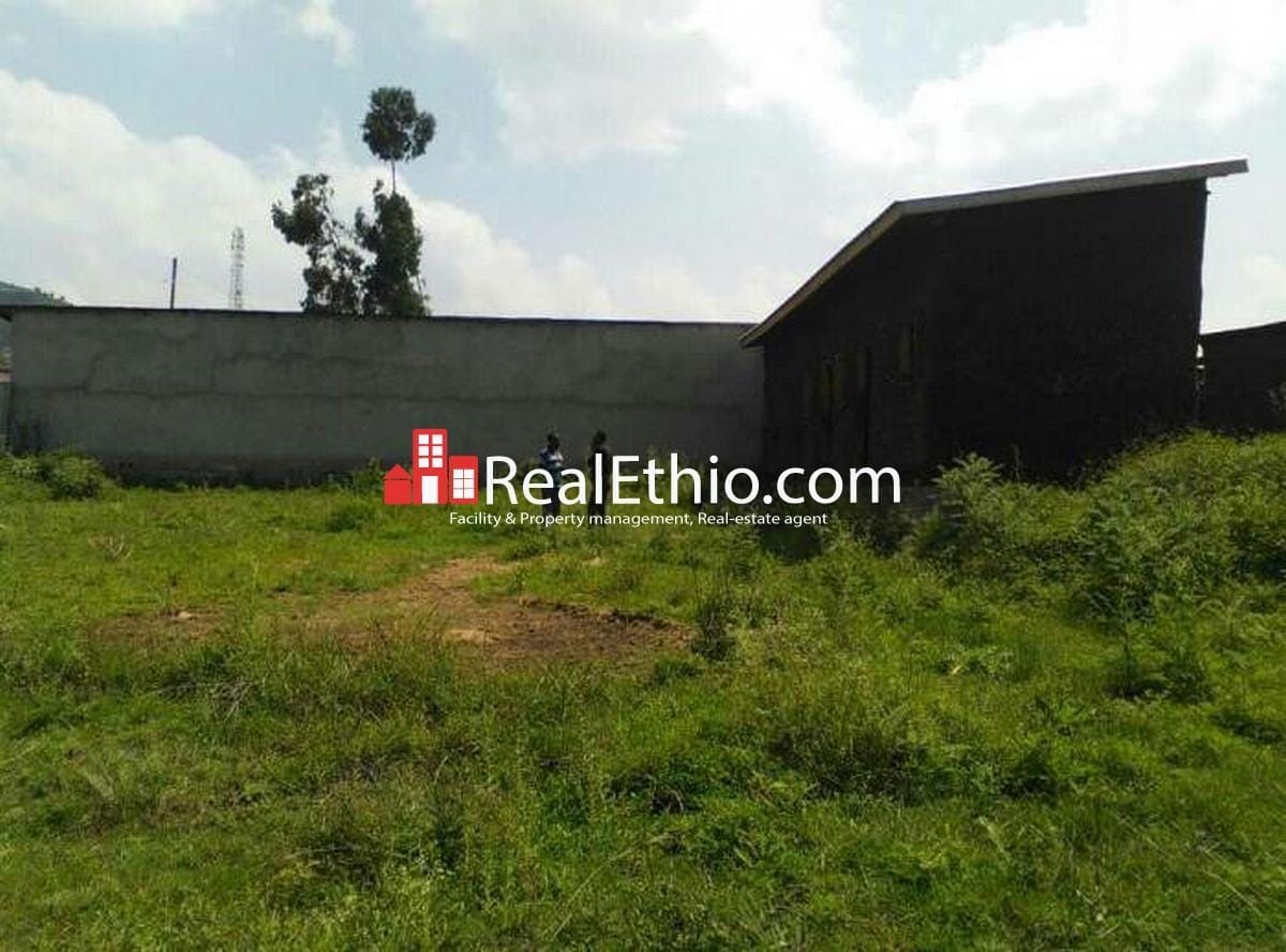 House for sale Sebeta, house for sale on 500 meter square plot of