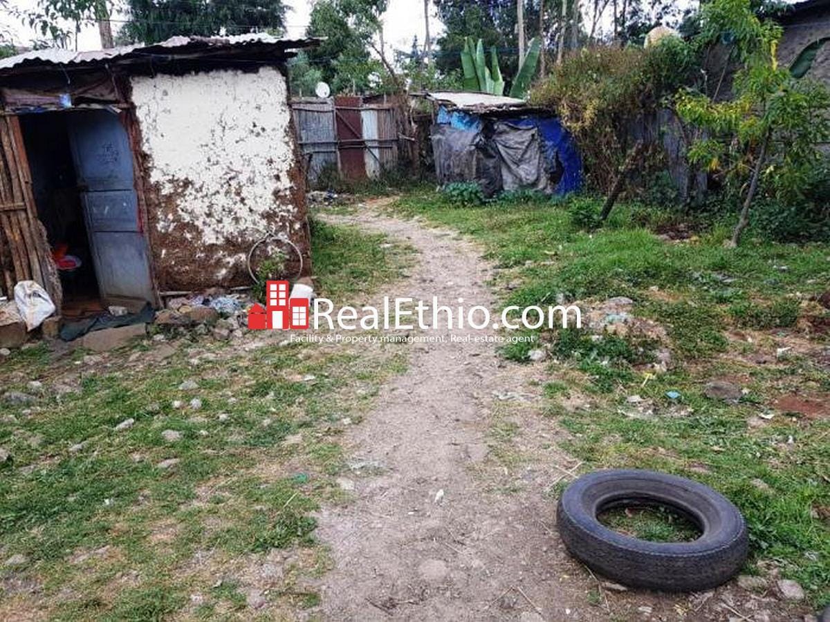 Kotebe, Hana Mariam, mud house for sale, Addis Ababa, Ethiopia Real Ethio