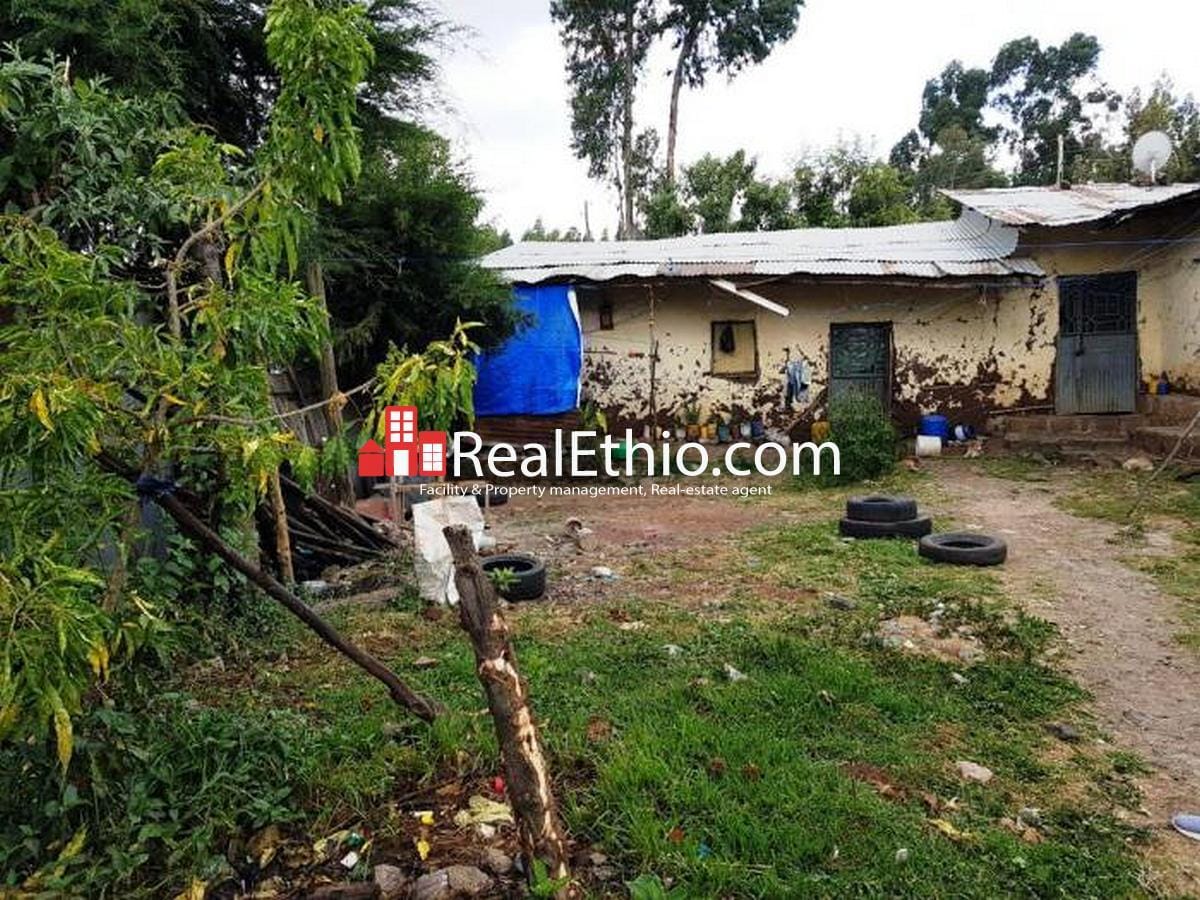 Kotebe, Hana Mariam, mud house for sale, Addis Ababa, Ethiopia Real Ethio