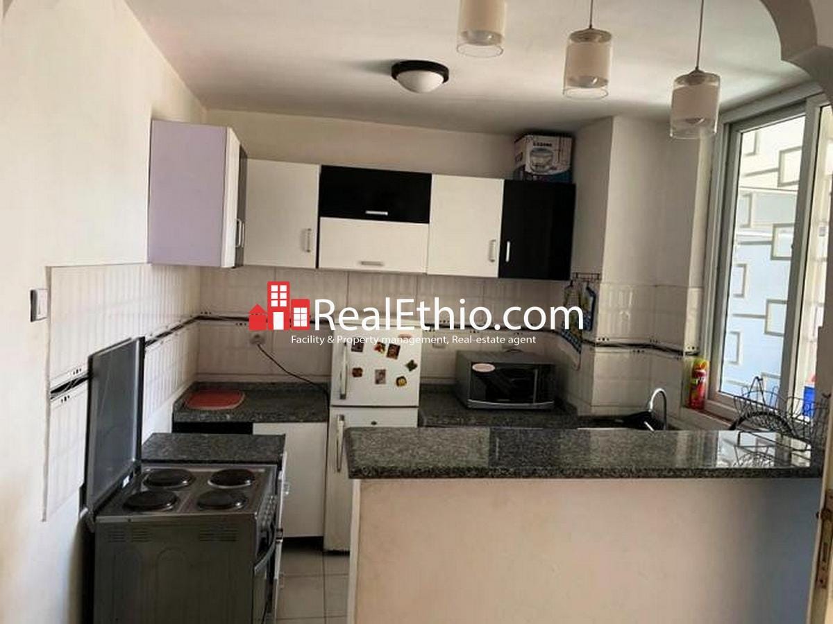Arat Kilo Three Bedrooms Furnished Condominium Apartment For Rent Addis Ababa Real Ethio