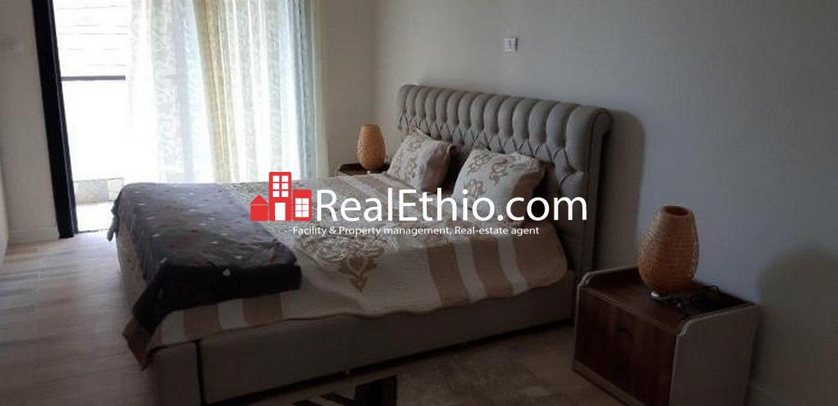 CMC Tsehay Real Estate, 3 bedroom furnished apartment rent, Addis Ababa