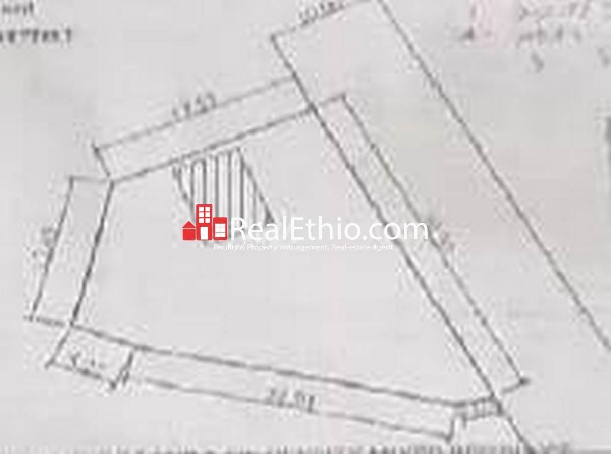 Kality, old house for sale, Addis Ababa. Real Ethio