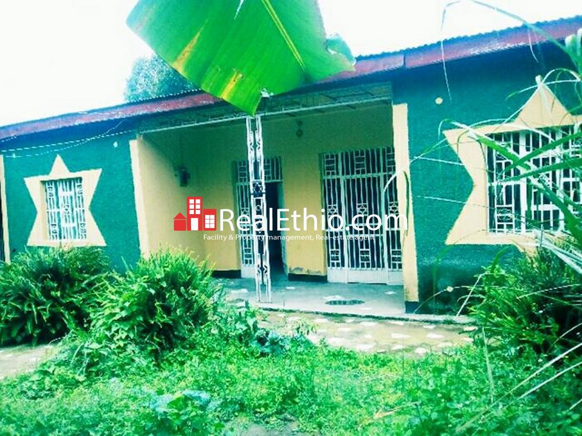 Shashemene, House for sale, 2 bed rooms, 360 meter square, Ethiopia
