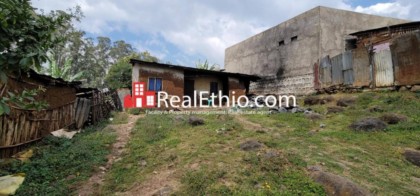 Burayu near Gefersa reservoir, 3 rooms, 243 meter square, old house for