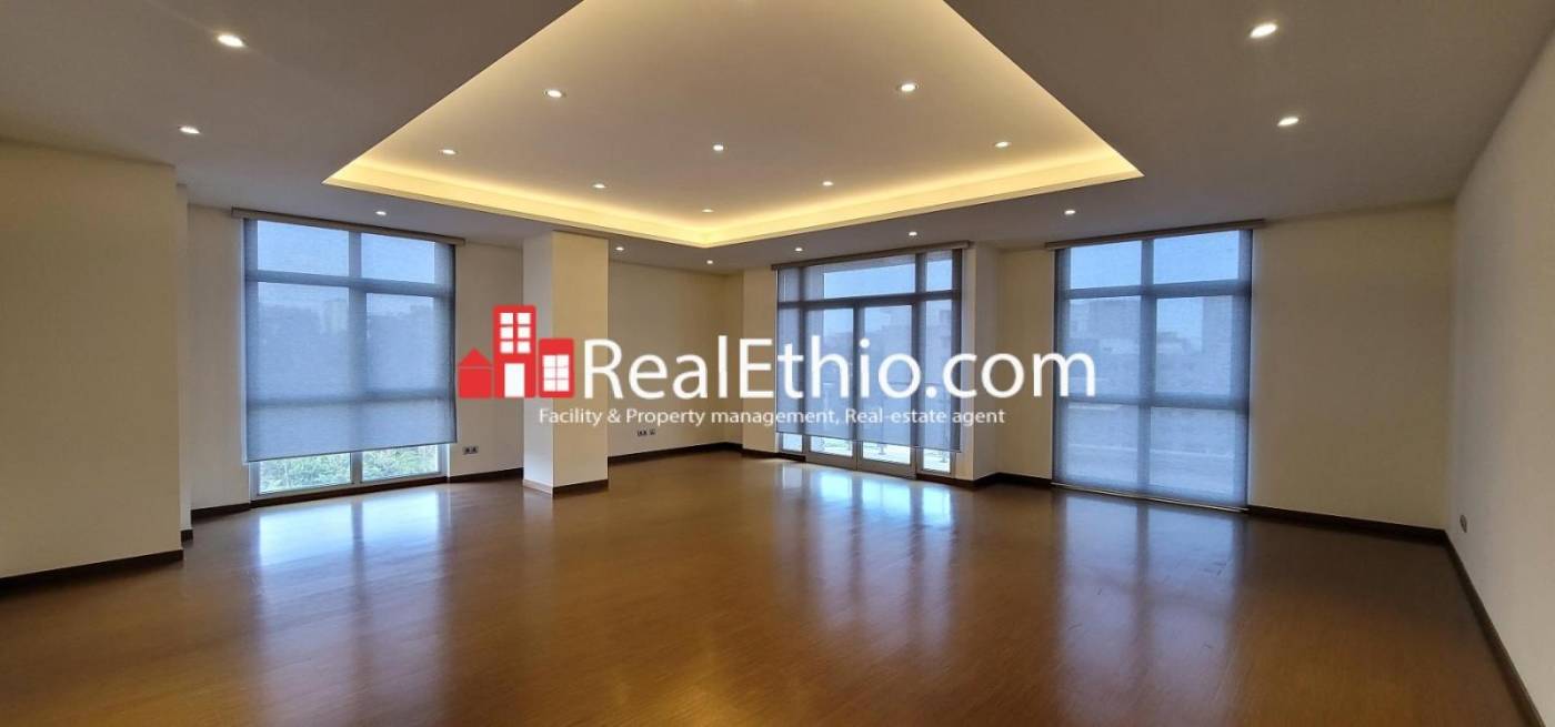 Bole Wolo Sefer, 1 bedroom luxury apartment for rent, Addis Ababa.