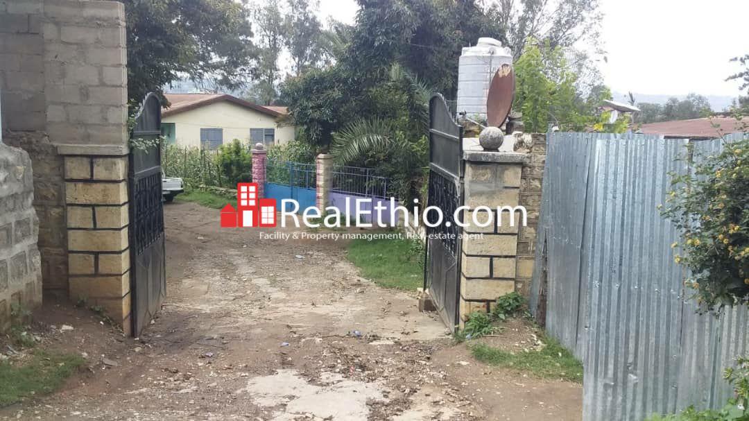 Harar, Big house for sale, Hareri, Ethiopia. Real Ethio