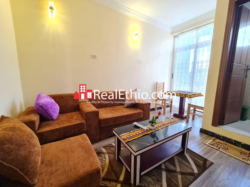 One bedroom Furnished Apartment for Rent, Lemhotel, Addis Ababa. Real
